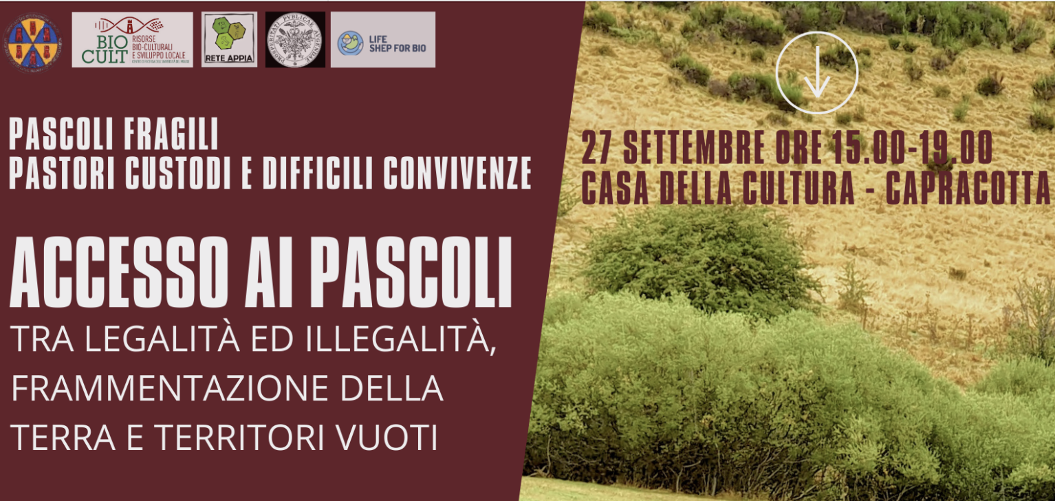 Accesso ai pascoli tra legalità ed illegalità, frammentazione della terra e territori vuoti